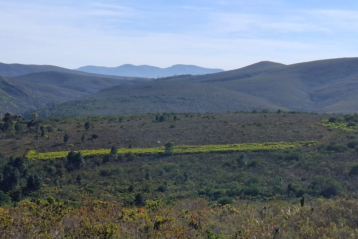 Expansive scenic landscape view featuring rolling hills and natural vegetation, showcasing the property's rural setting and natural surroundings.