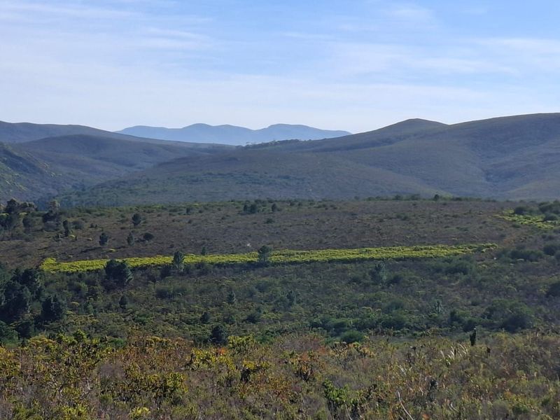 Expansive scenic landscape view featuring rolling hills and natural vegetation, showcasing the property's rural setting and natural surroundings.