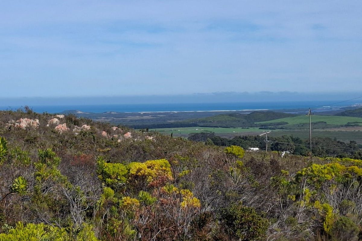 A scenic landscape view overlooking the surrounding countryside and distant coastline, showcasing the natural beauty of the farm's location.