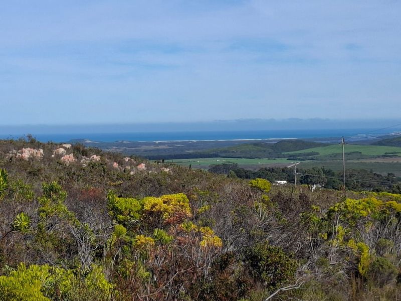 A scenic landscape view overlooking the surrounding countryside and distant coastline, showcasing the natural beauty of the farm's location.