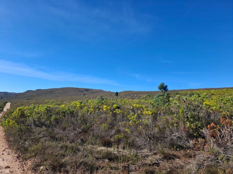 A scenic view of the expansive natural landscape and rolling hills on the farm, featuring a dirt access road.
