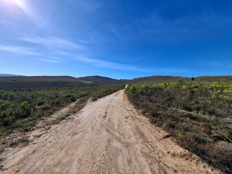 A scenic view of a dirt access road winding through the natural landscape of the farm property.