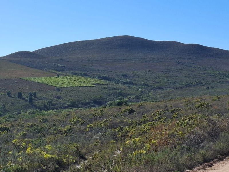 Expansive scenic view of the surrounding farm landscape, featuring rolling hills and natural vegetation.