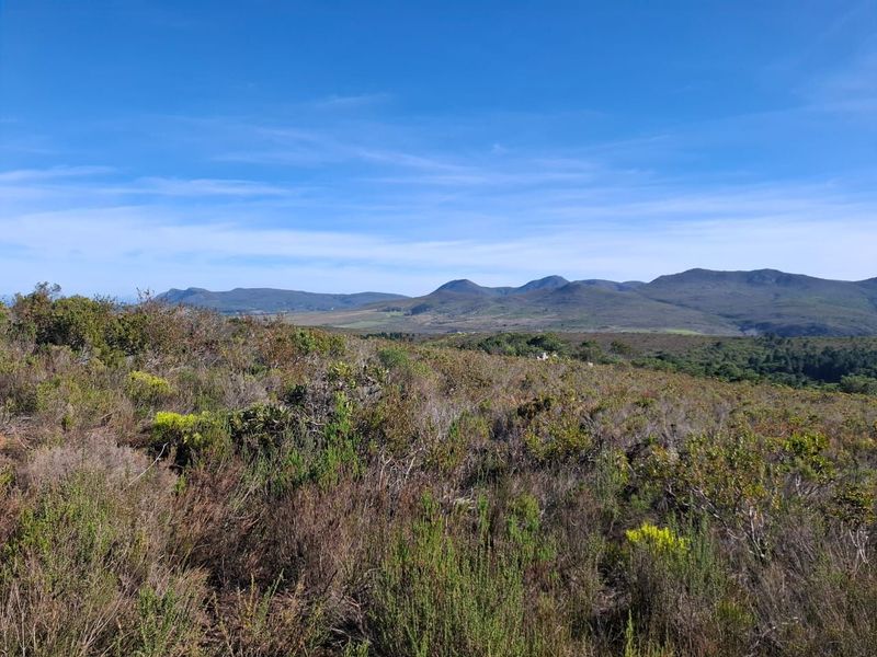 A scenic landscape view showcasing the natural terrain, rolling hills, and distant mountain range under a clear blue sky.