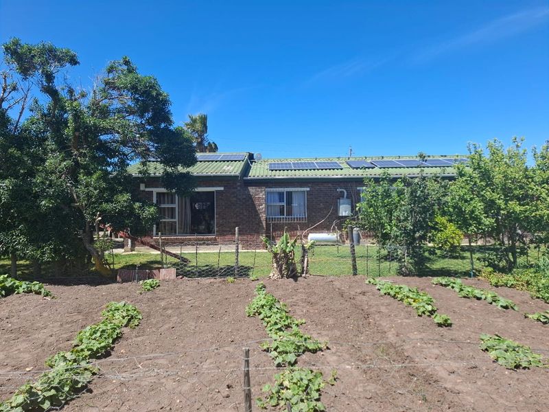 Rear view of a brick farmhouse featuring solar panels on the roof, a gas geyser, and a vegetable garden in the foreground.