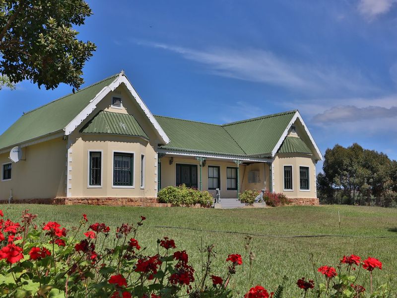 A charming farmhouse featuring a green corrugated metal roof, stone foundation, and a welcoming front veranda set within a well-maintained garden.