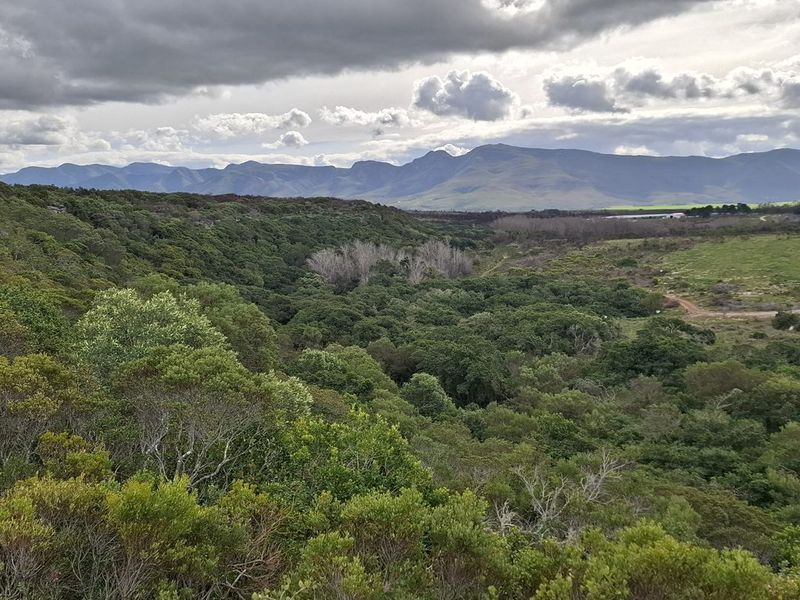 Expansive scenic landscape view featuring rolling hills, dense indigenous vegetation, and distant mountain ranges under a cloudy sky.
