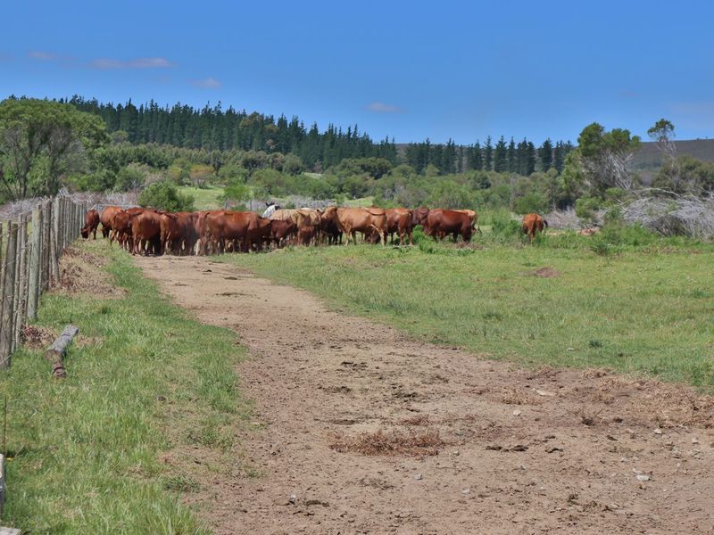 A wide view of the farm property featuring open grazing pastures, a dirt access track, and perimeter wire fencing.