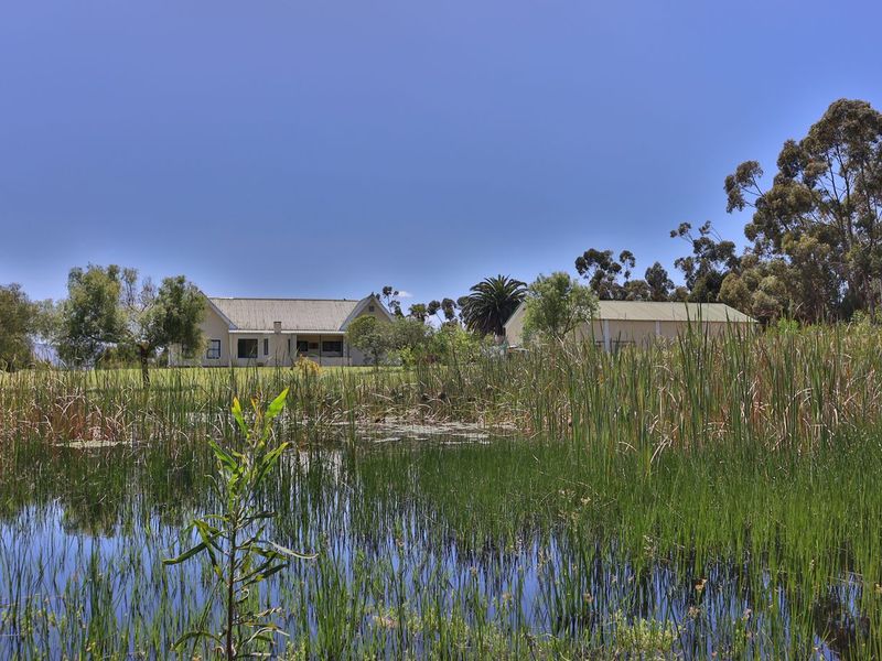 A scenic view of the farm property featuring a tranquil pond in the foreground with the main residence and outbuildings set in the background.