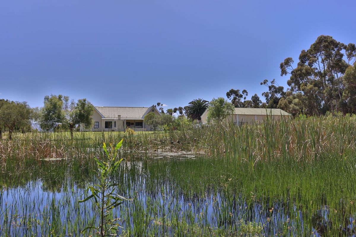 A scenic view of the farm property featuring a tranquil pond in the foreground with the main residence and outbuildings set in the background.