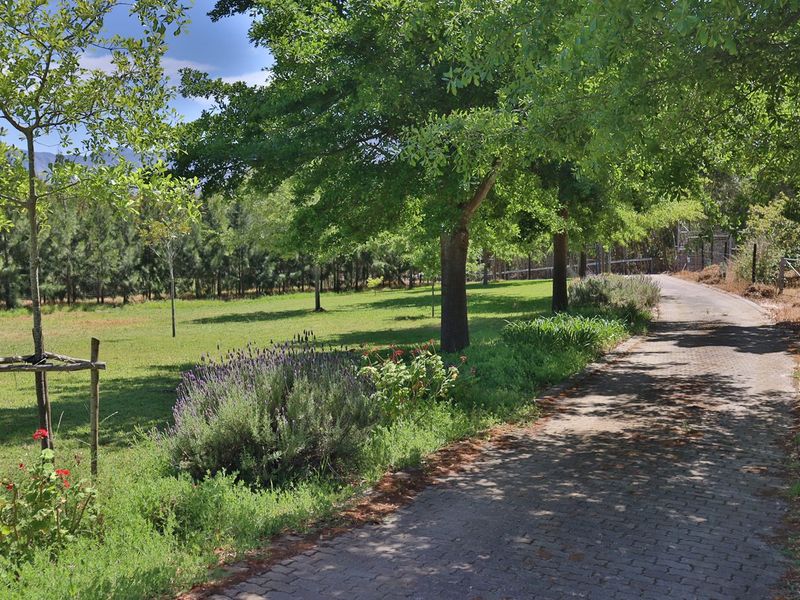A scenic view of a well-maintained farm garden featuring a paved driveway, mature trees, and lush green lawn areas.