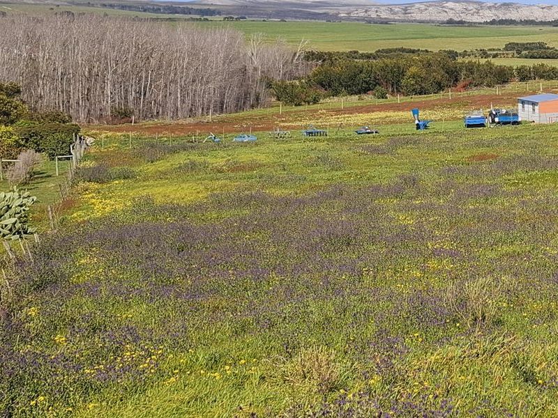 An elevated view of a large agricultural plot featuring open fields, wire fencing, and existing outbuildings set against a scenic rural landscape.
