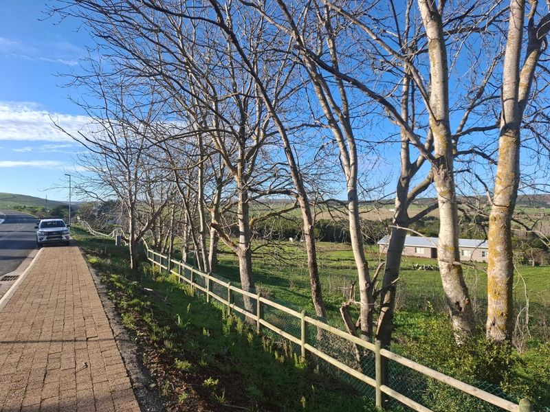 A view of the property boundary featuring a paved sidewalk, wooden fencing, and mature trees overlooking the agricultural land.