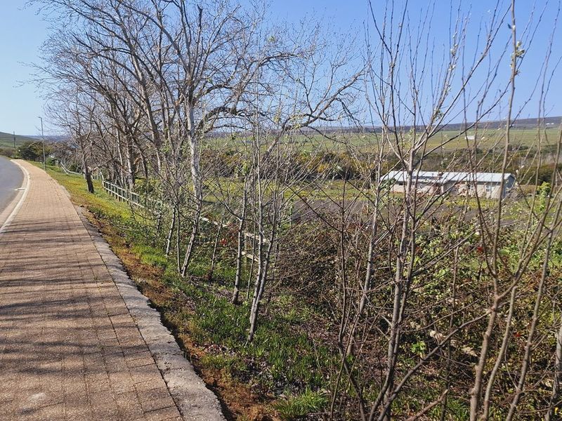 A view of the paved sidewalk and boundary fencing adjacent to the agricultural land, showing the street-level access and surrounding landscape.