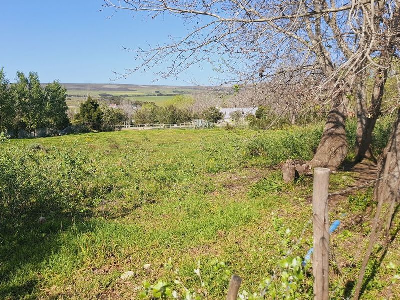A view of a vacant residential plot featuring mature trees and perimeter wire fencing, set against a natural landscape backdrop.
