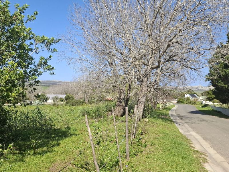 A street-level view of the vacant residential land, featuring established trees, natural vegetation, and bordering asphalt road access.
