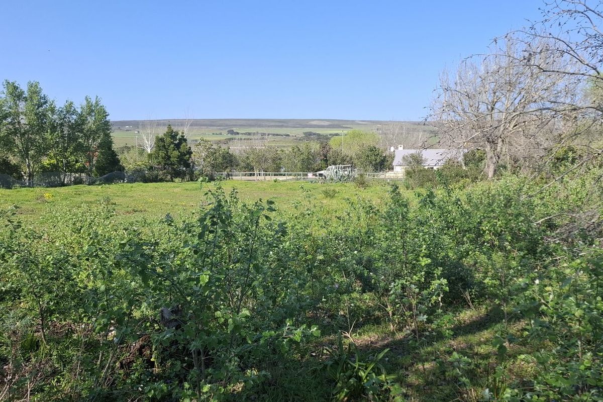 A spacious vacant residential plot featuring established trees, natural grassland, and perimeter fencing, offering a peaceful setting for future development.