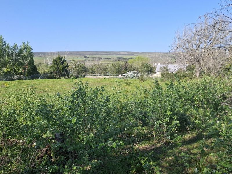 A spacious vacant residential plot featuring established trees, natural grassland, and perimeter fencing, offering a peaceful setting for future development.