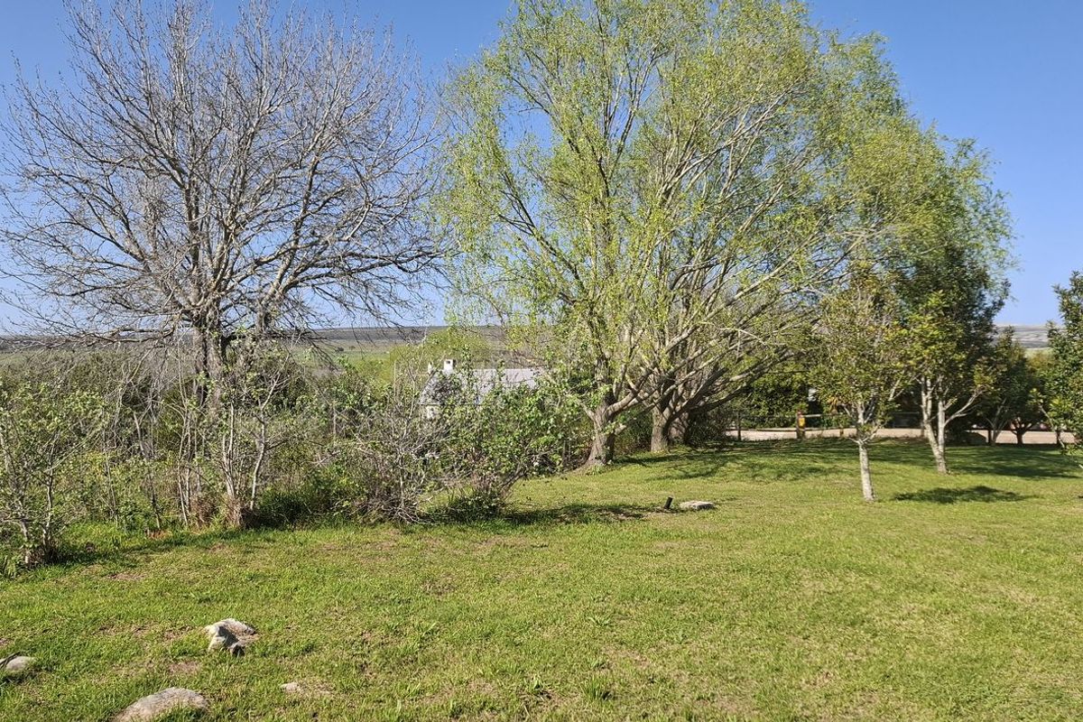 A spacious, well-maintained residential garden area featuring mature trees and established lawn, offering a peaceful outdoor setting.