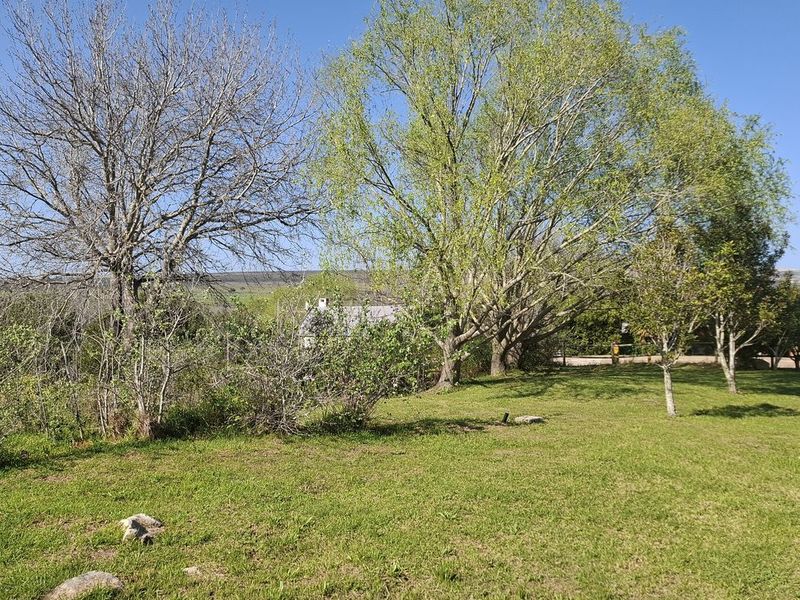 A spacious, well-maintained residential garden area featuring mature trees and established lawn, offering a peaceful outdoor setting.