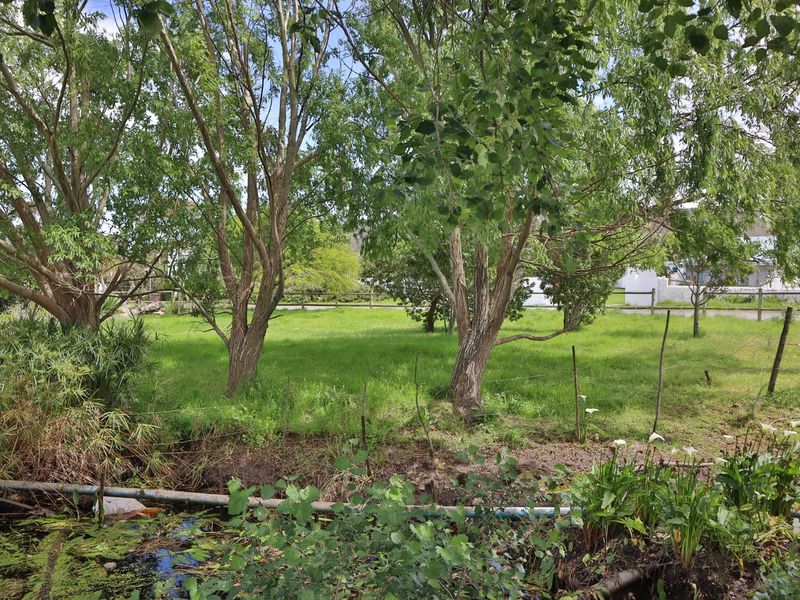 A view of a grassy residential plot featuring mature trees, wire fencing, and a small water feature in the foreground.