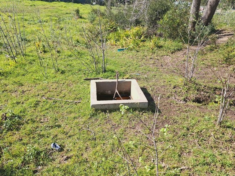 A view of a vacant residential plot featuring an exposed concrete utility inspection chamber set within an overgrown grassy area.