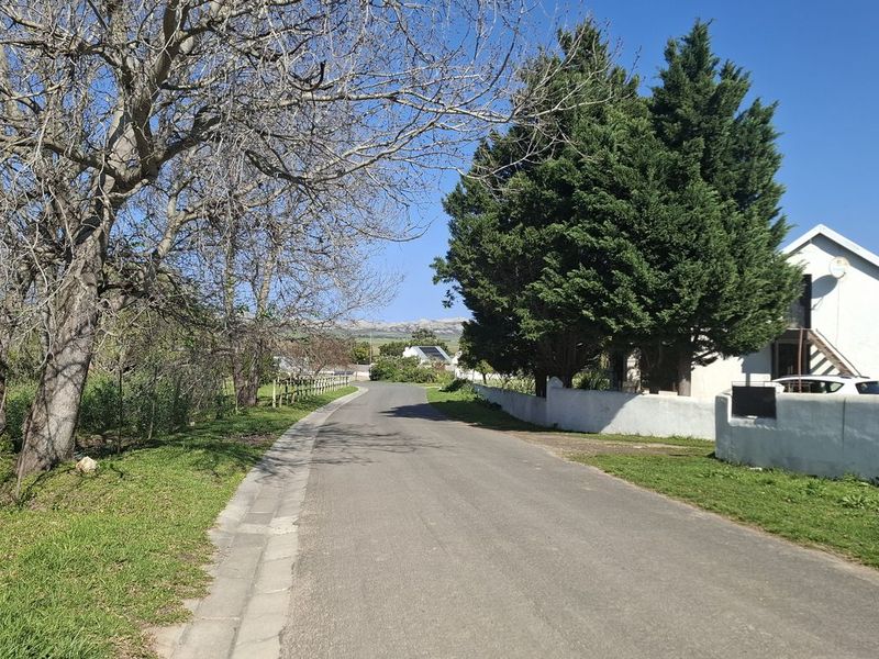 A view of the residential street approach featuring mature trees, a grass verge, and a white concrete boundary wall.