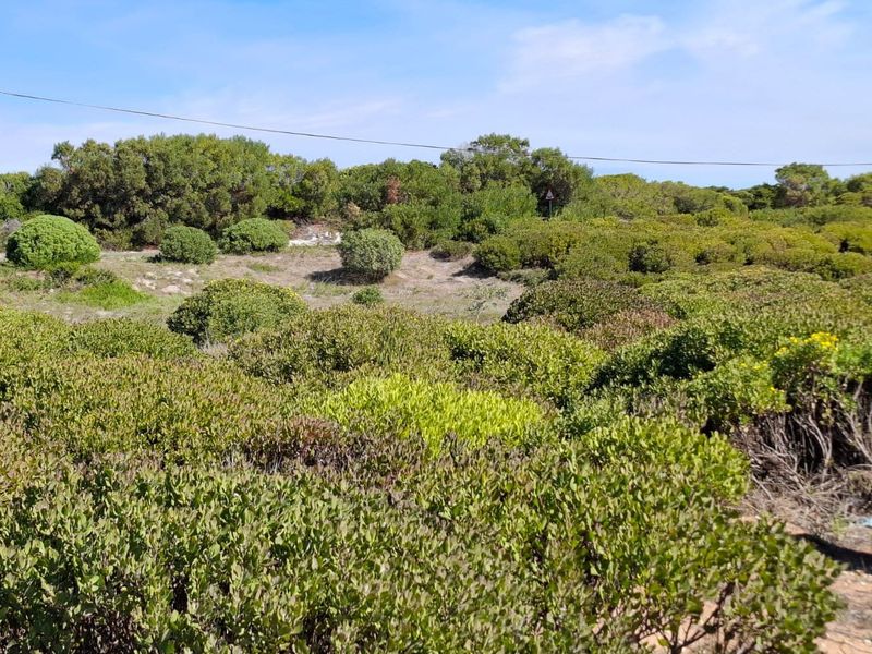 A view of a vacant commercial land plot featuring dense native vegetation and overhead power lines under a clear blue sky.