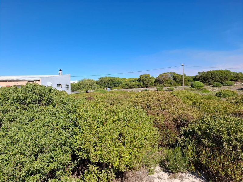 A view of a vacant commercial land plot featuring natural coastal vegetation and existing utility infrastructure.
