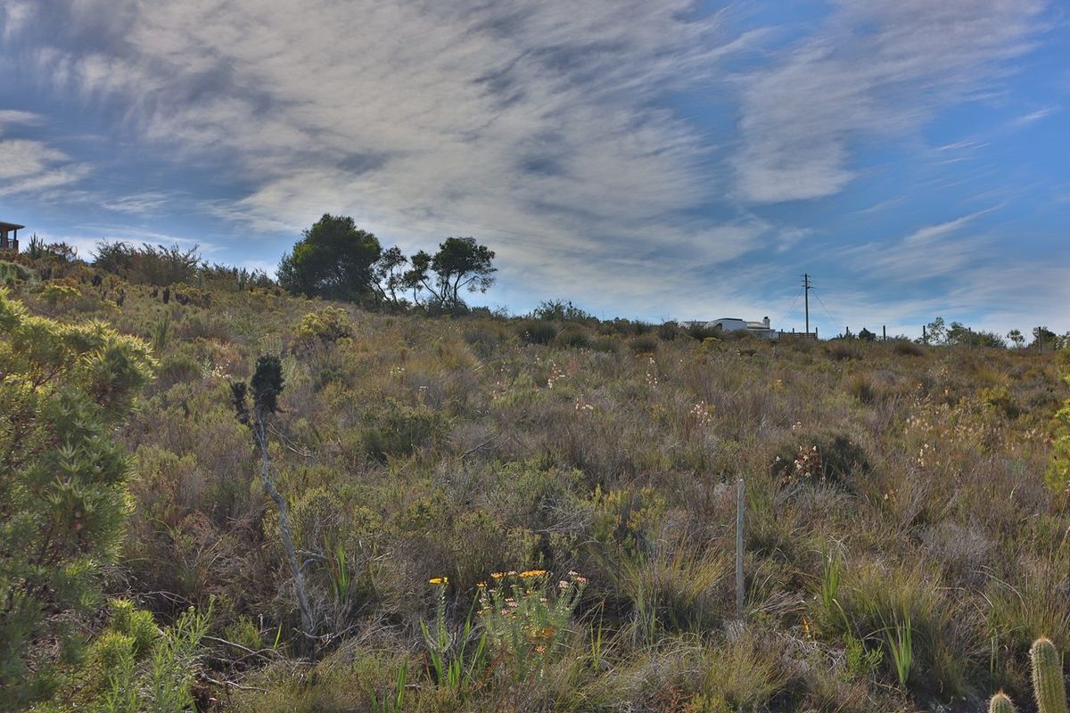A view of the natural, undeveloped agricultural land featuring indigenous vegetation and a clear sky.