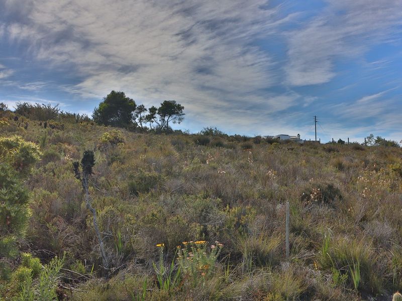 A view of the natural, undeveloped agricultural land featuring indigenous vegetation and a clear sky.