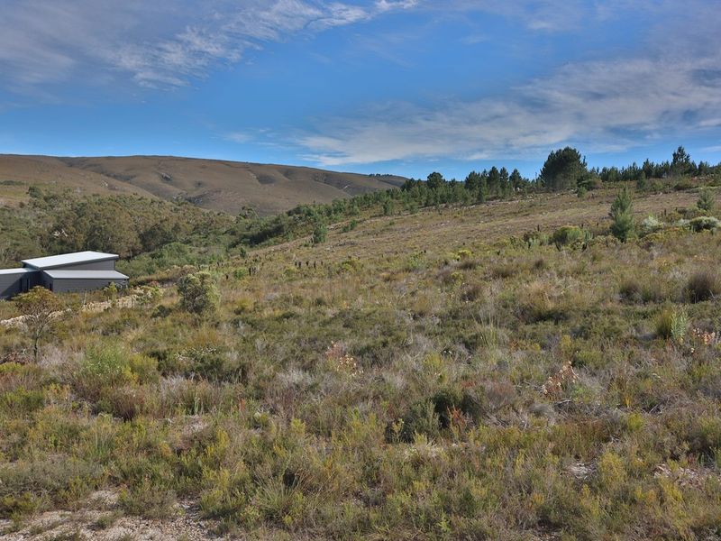 A scenic view of the expansive agricultural land featuring natural fynbos vegetation and rolling mountain hills in the background.