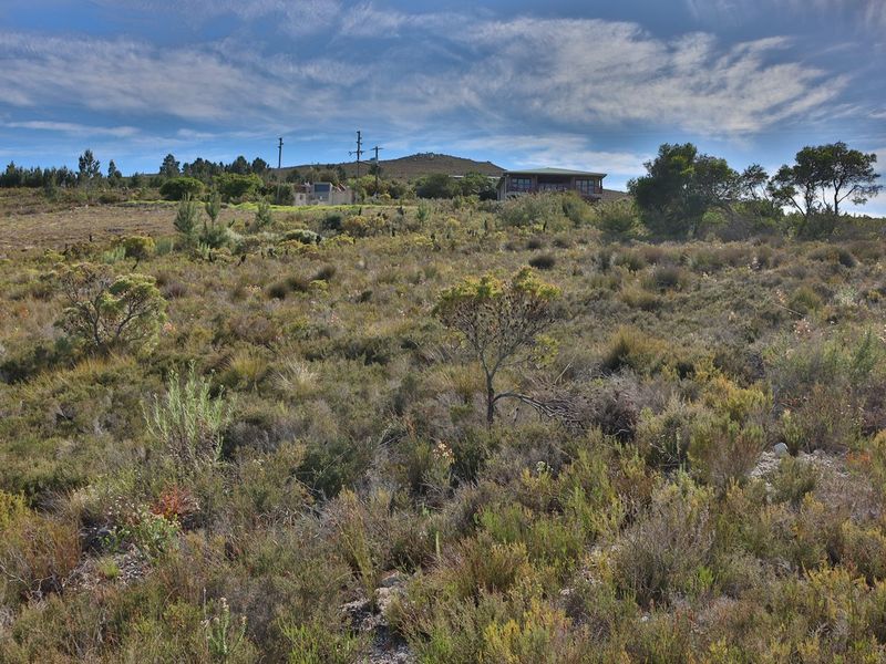 A wide-angle view of an expansive, undeveloped agricultural plot featuring natural fynbos vegetation and distant structures on the horizon.