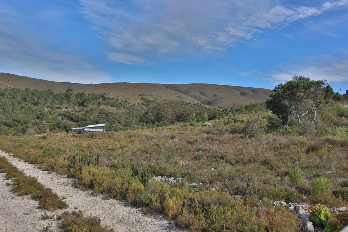 A scenic view of the expansive agricultural land featuring natural vegetation, a dirt access road, and distant mountain vistas.