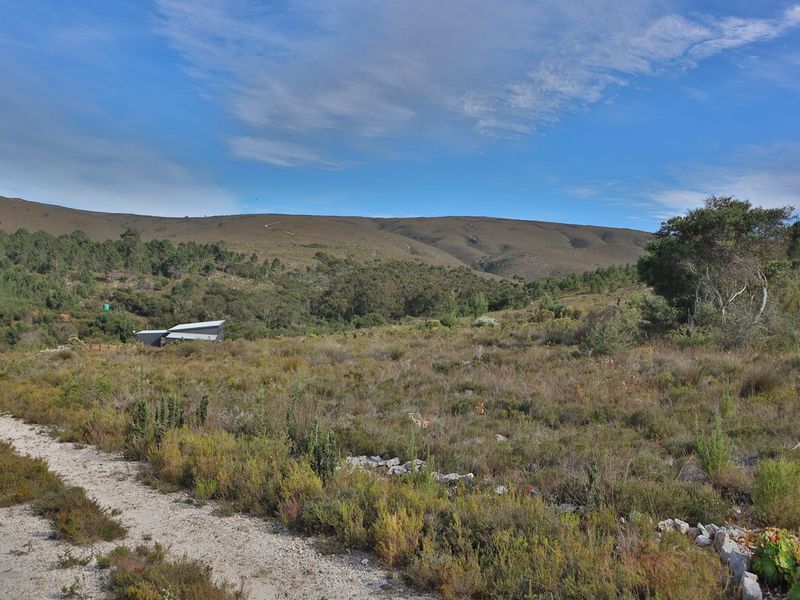 A scenic view of the expansive agricultural land featuring natural vegetation, a dirt access road, and distant mountain vistas.