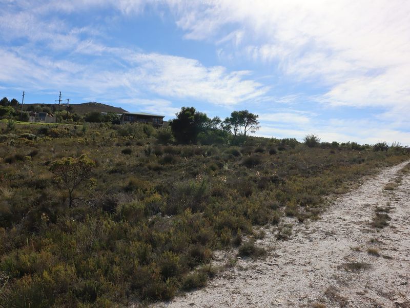 A view of the vacant agricultural land featuring natural vegetation and an unpaved access road leading towards the property.