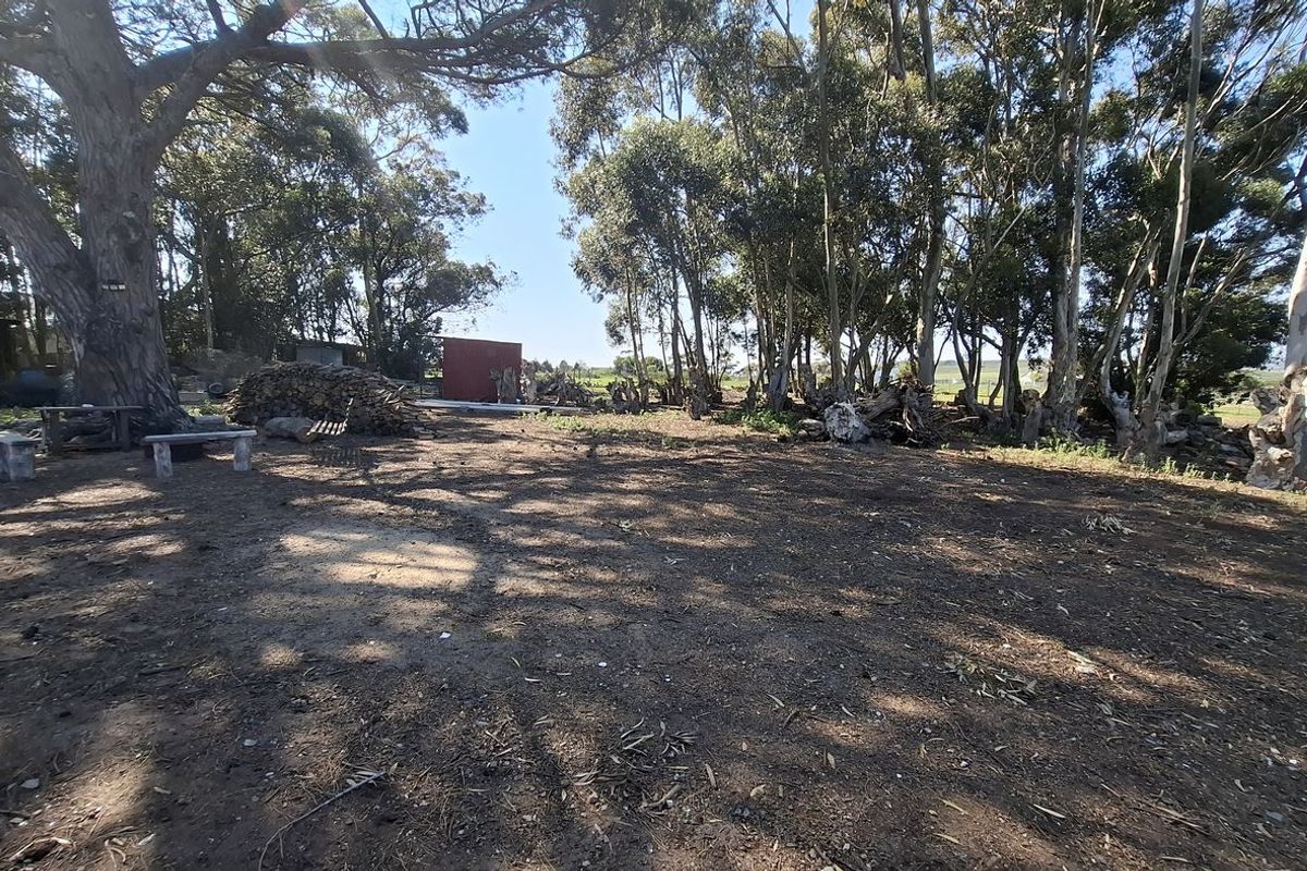 A spacious, cleared residential plot featuring mature trees and natural ground cover, offering a blank canvas for future development.