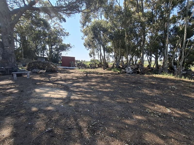 A spacious, cleared residential plot featuring mature trees and natural ground cover, offering a blank canvas for future development.