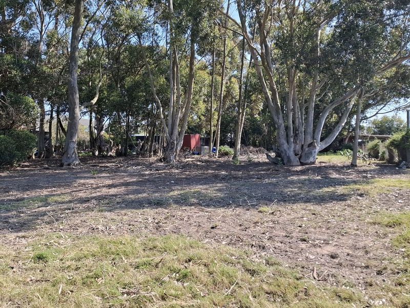 A view of a vacant residential plot featuring mature trees and cleared ground, offering a natural setting for potential development.