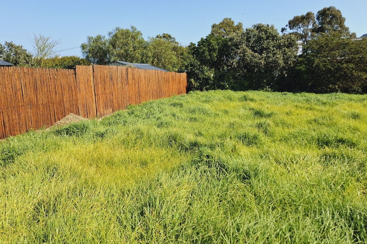 A vacant residential plot featuring overgrown grass and established bamboo perimeter fencing.