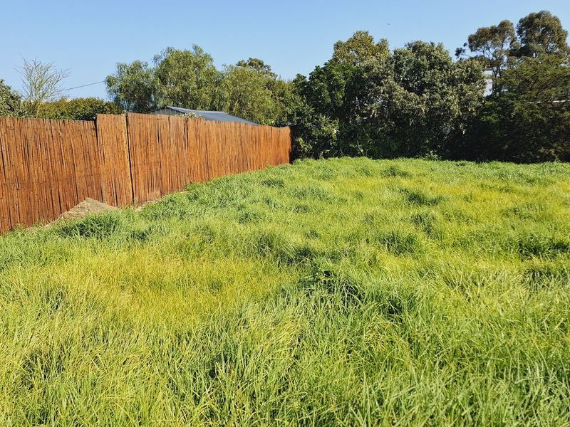A vacant residential plot featuring overgrown grass and established bamboo perimeter fencing.
