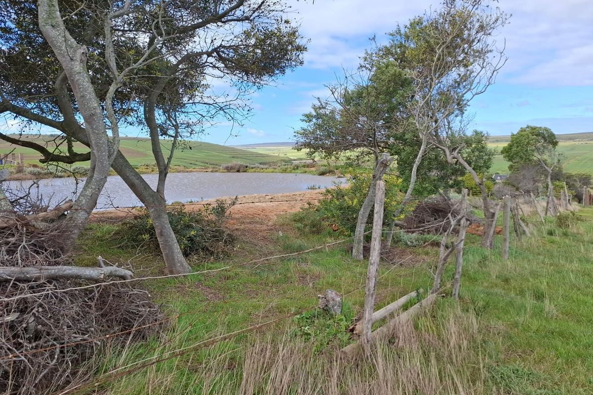 A scenic view of a farm dam on the small holding, featuring natural landscape and existing wire fencing.