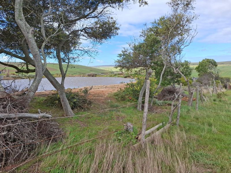 A scenic view of a farm dam on the small holding, featuring natural landscape and existing wire fencing.