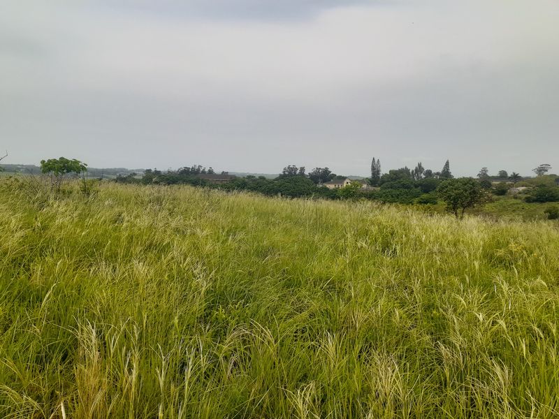 Farm For Sale in Shakaskraal - Photo 4