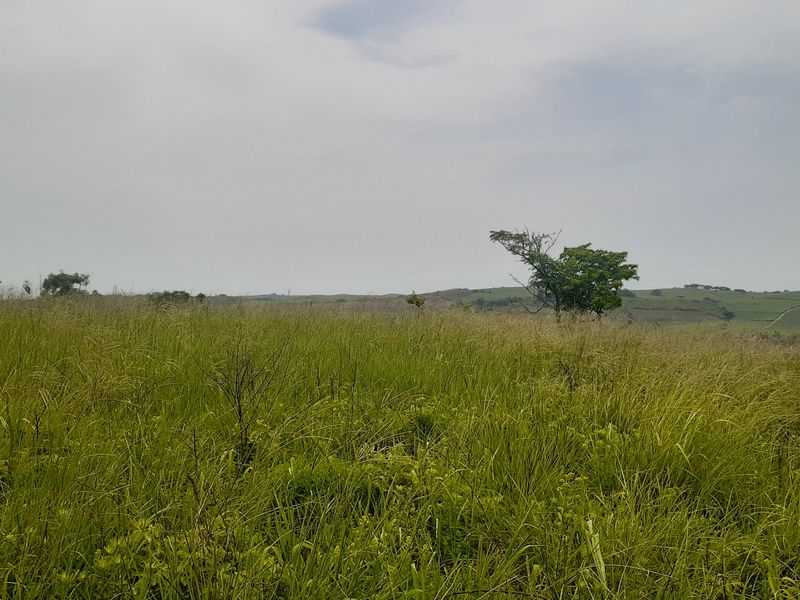 Farm For Sale in Shakaskraal - Photo 3