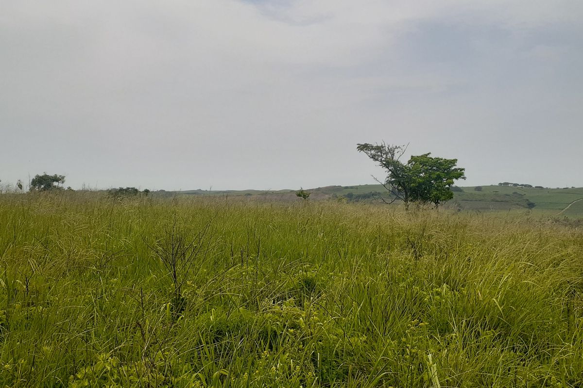 Farm For Sale in Shakaskraal - Photo 3