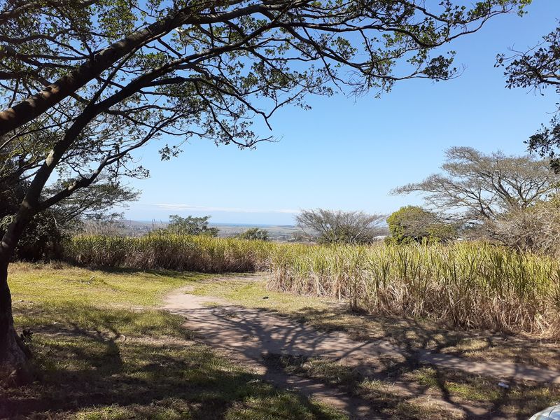 Farm For Sale in Shakaskraal - Photo 10