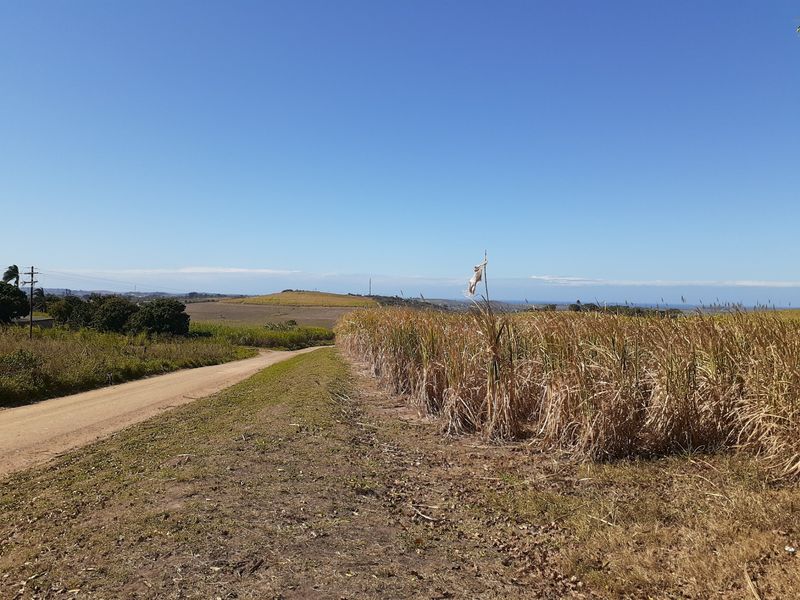 Farm For Sale in Shakaskraal - Photo 5
