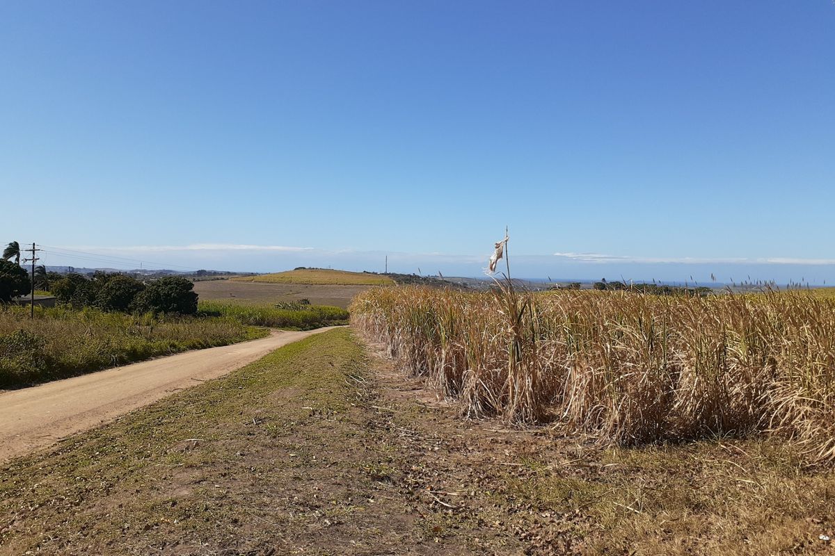 Farm For Sale in Shakaskraal - Photo 5