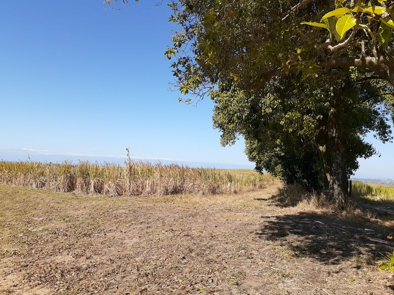 Farm For Sale in Shakaskraal - Photo 2